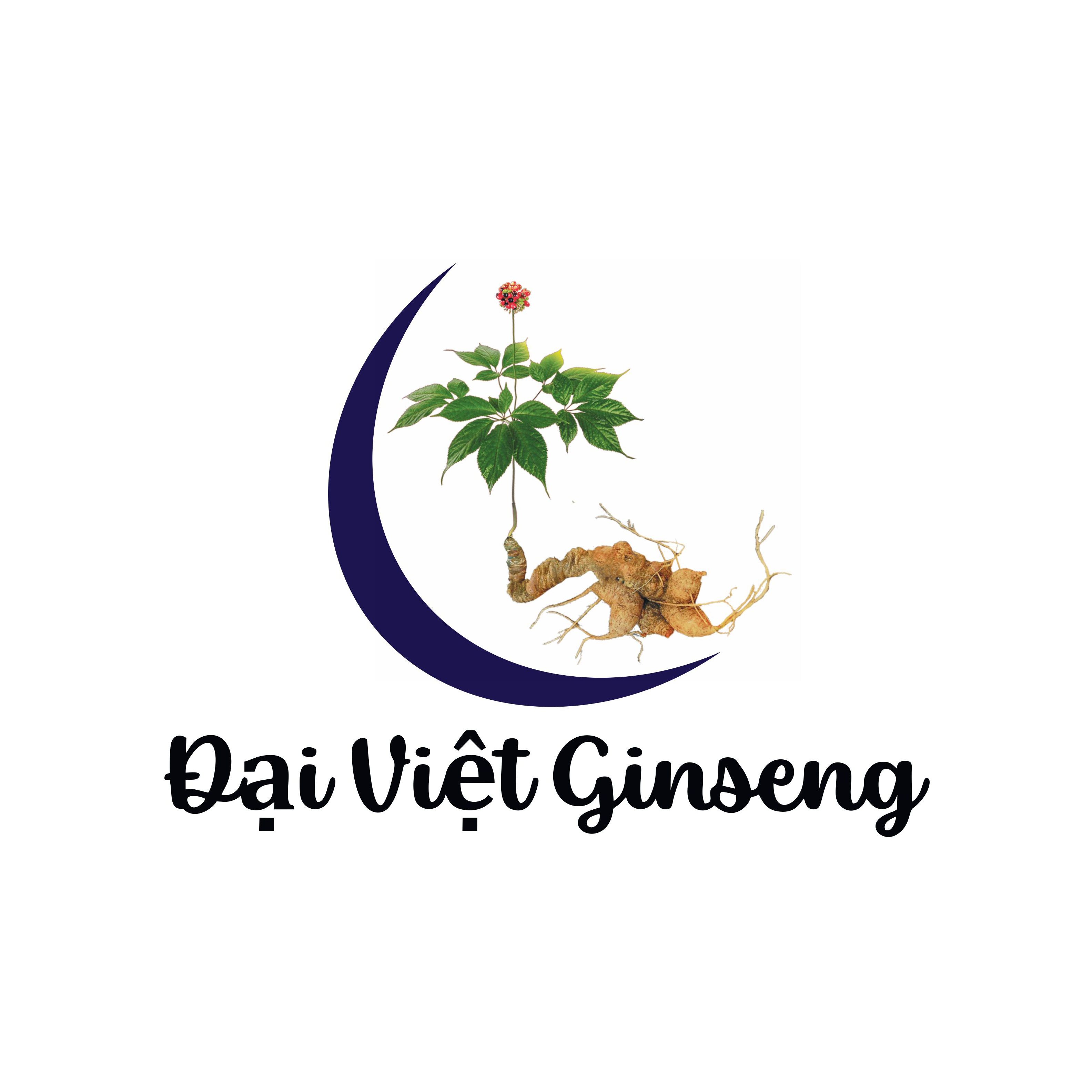 Đại Việt Ginseng